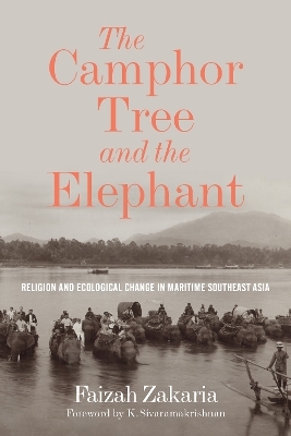 The Camphor Tree and the Elephant - Faizah Zakaria