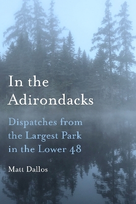 In the Adirondacks - Matt Dallos