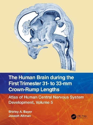 The Human Brain during the First Trimester 31- to 33-mm Crown-Rump Lengths - Shirley A. Bayer, Joseph Altman