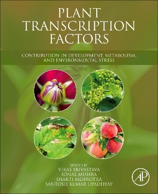 Plant Transcription Factors - 