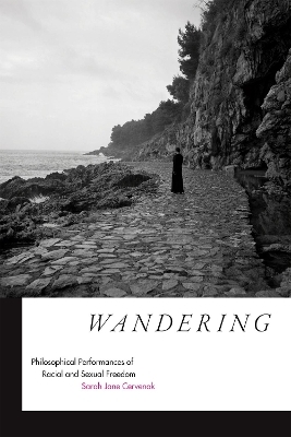 Wandering - Sarah Jane Cervenak