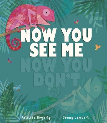 Now You See Me, Now You Don’t - Patricia Hegarty