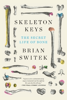 Skeleton Keys - Riley Black (Brian Switek)