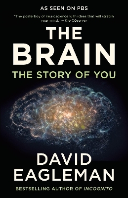 The Brain - David Eagleman