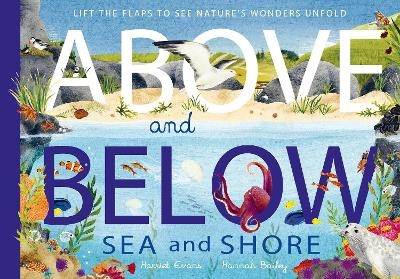 Above and Below: Sea and Shore - Harriet Evans, Hannah Bailey