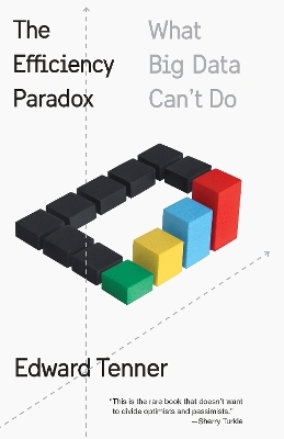 The Efficiency Paradox - Edward Tenner