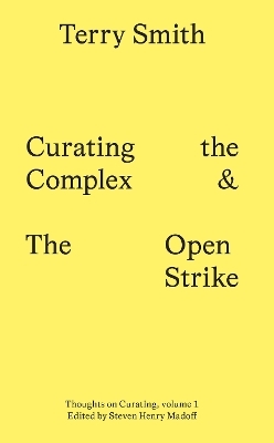 Curating the Complex and the Open Strike - Terry Smith