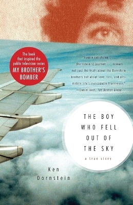 The Boy Who Fell Out of the Sky - Ken Dornstein