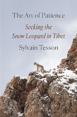 The Art of Patience - Sylvain Tesson