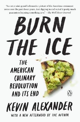 Burn the Ice - Kevin Alexander