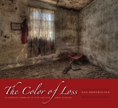 The Color of Loss - Dan Burkholder