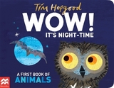 WOW! It's Night-time - Hopgood, Tim