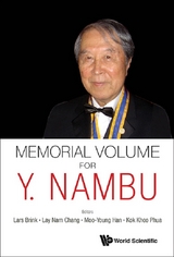 MEMORIAL VOLUME FOR Y NAMBU - 