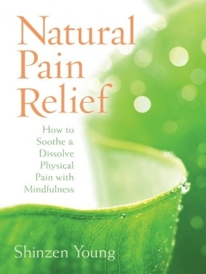 Natural Pain Relief - Shinzen Young