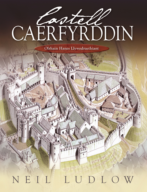 Castell Caerfyrddin -  Neil Ludlow