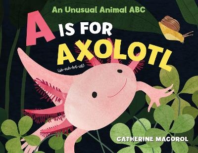 A Is for Axolotl: An Unusual Animal ABC - Catherine Macorol