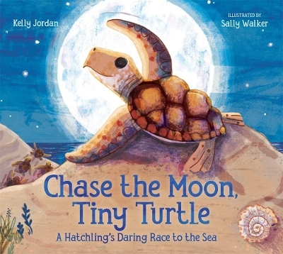 Chase the Moon, Tiny Turtle - Kelly Jordan