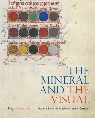 The Mineral and the Visual - Brigitte Buettner