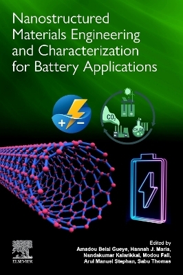 Nanostructured Materials Engineering and Characterization for Battery Applications - 