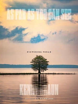 As Far as You Can See - Kenny Braun