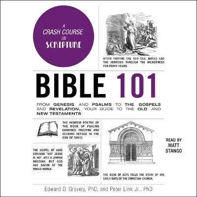 Bible 101 - Peter Link, Edward D Gravely
