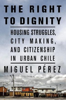 The Right to Dignity - Miguel Pérez