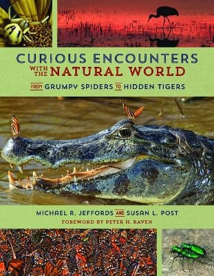 Curious Encounters with the Natural World - Michael Jeffords, Susan Post