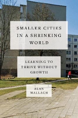 Smaller Cities in a Shrinking World - Alan Mallach