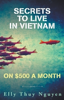 Secrets to Live in Vietnam on $500 a Month - Elly Thuy Nguyen