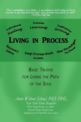 Living in Process - Dhl Schaef