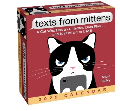 Texts from Mittens the Cat 2022 Day-to-Day Calendar - Angie Bailey