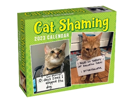Cat Shaming 2023 Day-to-Day Calendar - Pedro Andrade