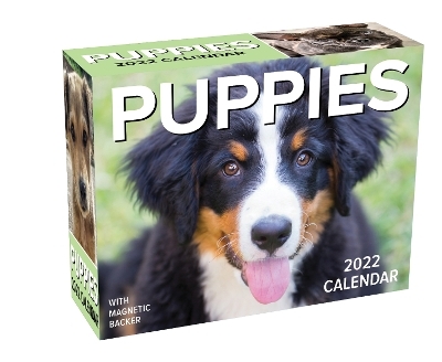 Puppies 2022 Mini Day-to-Day Calendar -  Andrews McMeel Publishing