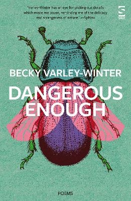 Dangerous Enough - Ms Becky Varley-Winter