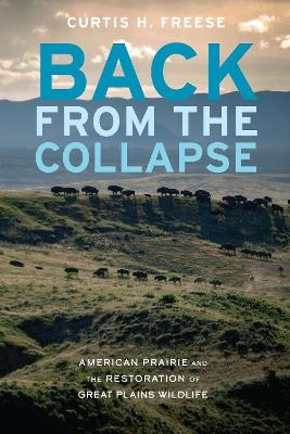 Back from the Collapse - Curtis H. Freese