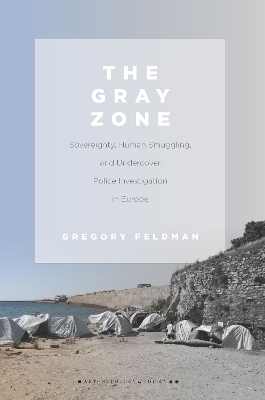 The Gray Zone - Gregory Feldman