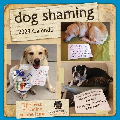 Dog Shaming 2023 Wall Calendar - Pascale Lemire,  Dogshaming.com