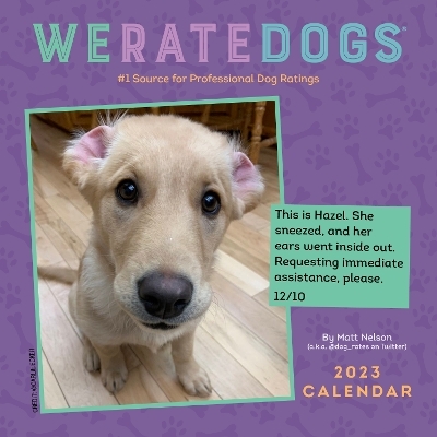 WeRateDogs 2023 Mini Wall Calendar - Matt Nelson