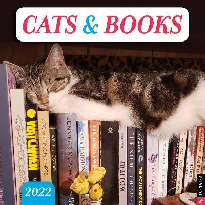 Cats & Books 2022 Wall Calendar -  Universe Publishing