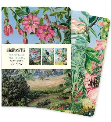 Kew Gardens: Marianne North Set of 3 Midi Notebooks - 