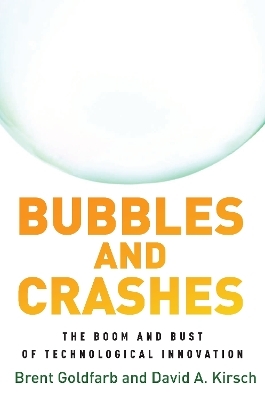 Bubbles and Crashes - Brent Goldfarb, David A. Kirsch