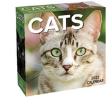 Cats 2022 Day-to-Day Calendar - Andrews McMeel Publishing