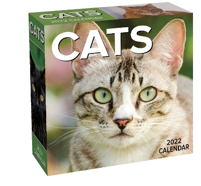 Cats 2022 Day-to-Day Calendar -  Andrews McMeel Publishing