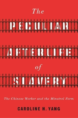 The Peculiar Afterlife of Slavery - Caroline H. Yang