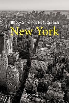 New York - Professor Jill S. Gross, Professor H. V. Savitch
