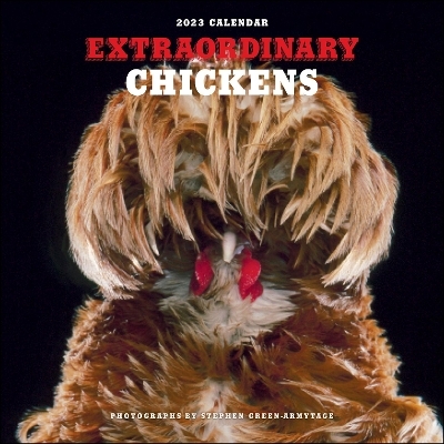 Extraordinary Chickens 2023 Wall Calendar -  Stephen Green-Armytage