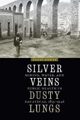 Silver Veins, Dusty Lungs - Rocio Gomez