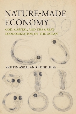 Nature-Made Economy - Kristin Asdal, Tone Huse