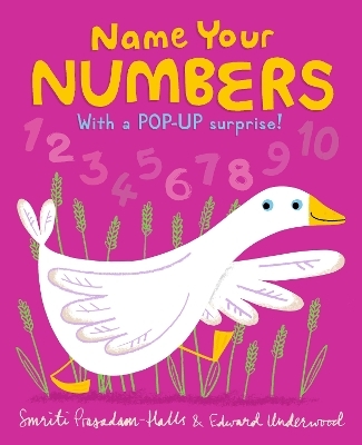 Name Your Numbers - Smriti Prasadam-Halls