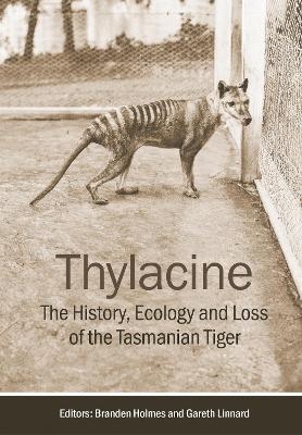 Thylacine - 